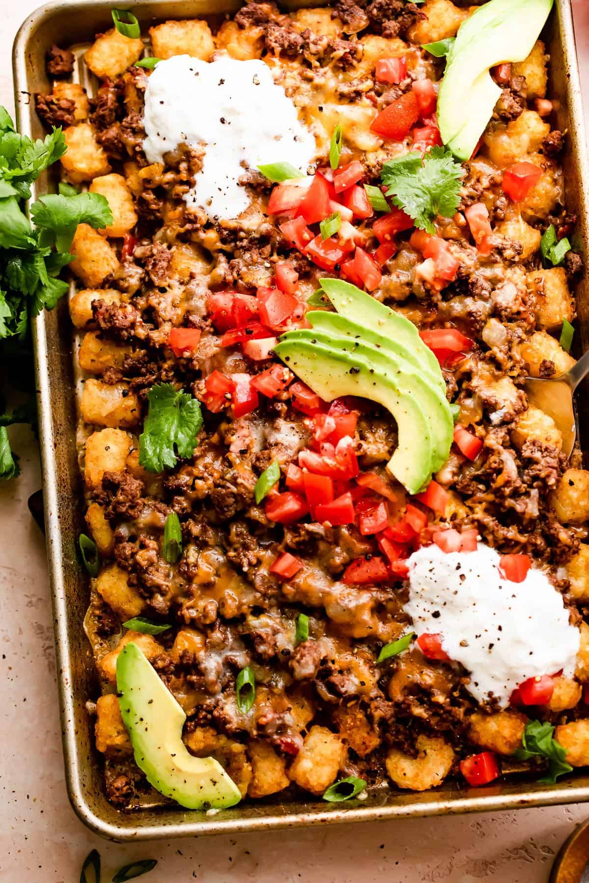 Baked tater tots topped with ground beef, tomatoes, and sliced avocado.