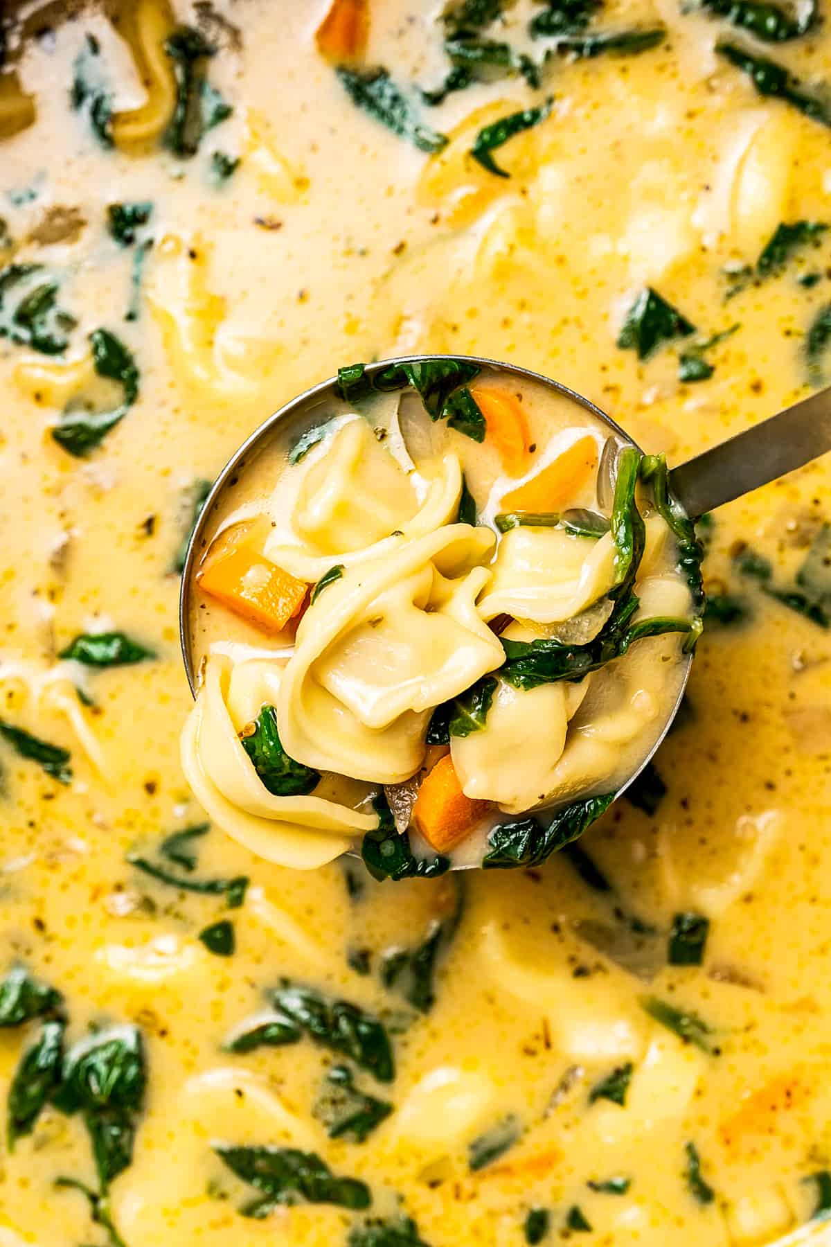 Overhead view of a ladle scooping creamy tortellini soup from a pot.
