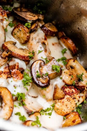 close up of chicken with cream sauce and mushrooms