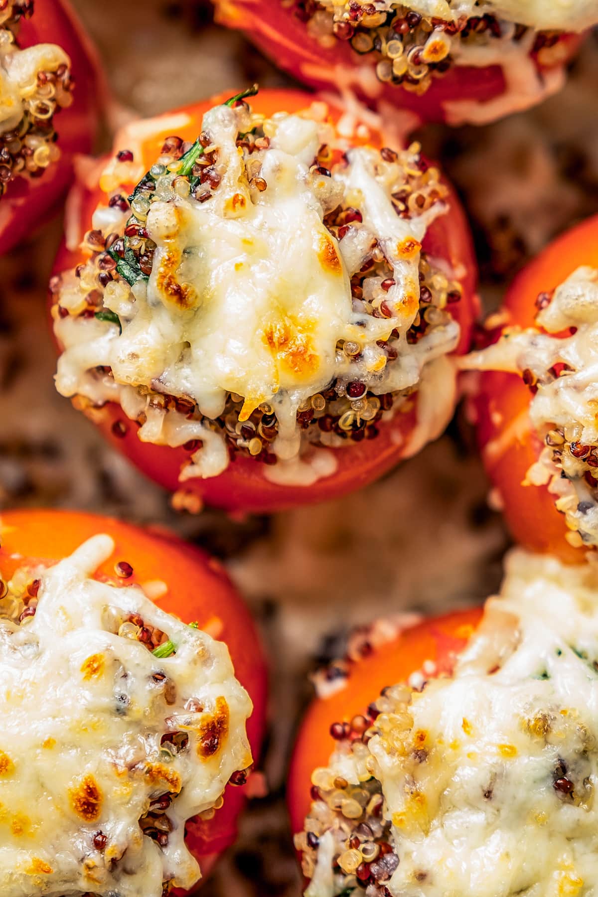Close up overhead view of quinoa stuffed tomatoes topped with melted cheese.