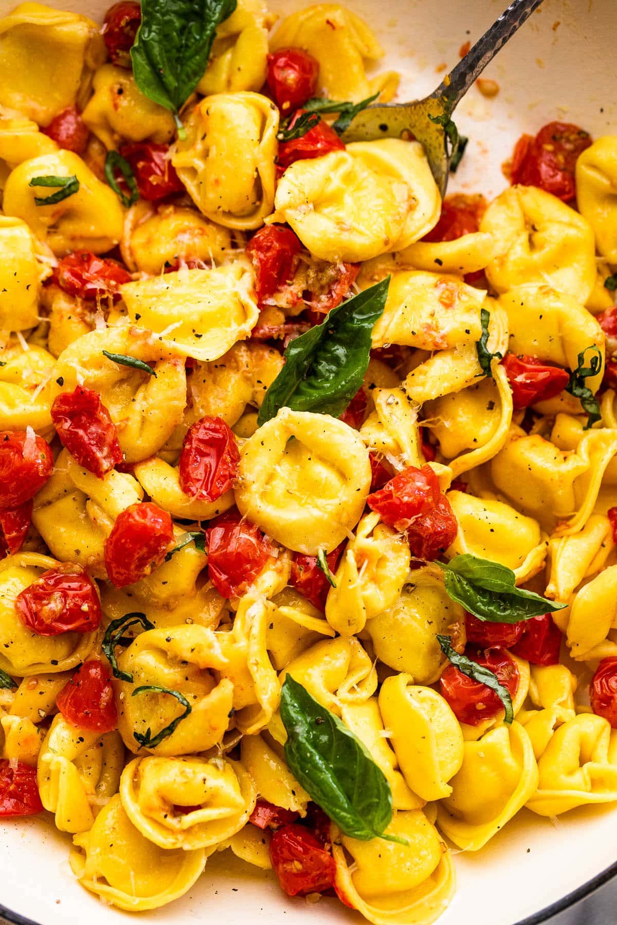 Cheese Tortellini with Roasted Tomatoes served in a large pasta bowl.